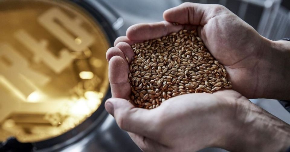 Berlin: BRLO BRWHOUSE Tour and Craft Beer Tasting - Who This Tour Is Best For (and Who Should Skip)