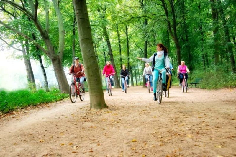 Berlin: Highlights Guided Bike Tour - Choosing the right bike and staying comfortable in Berlin