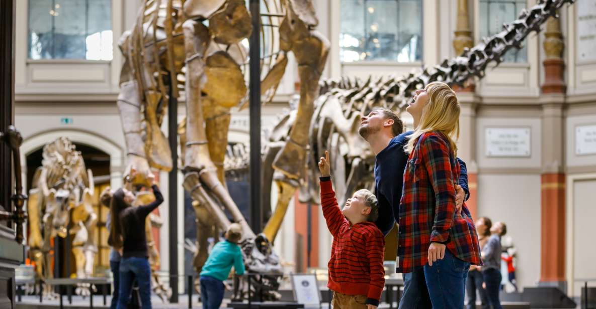 Berlin: Natural History Museum Entrance Ticket - Key highlights I’d prioritize