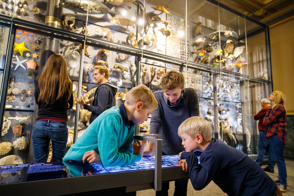 Berlin: Natural History Museum Entrance Ticket - Families and attention spans: great for kids, but not a play center