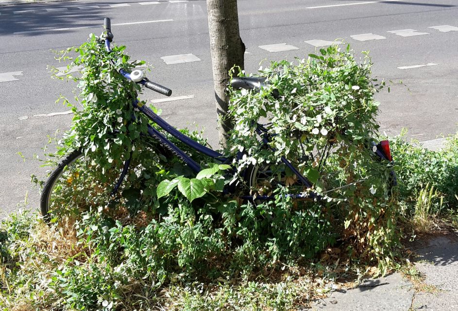Berlin: Street Art and Alternative Tour - Who This Tour Is For (and Who Might Want Something Different)
