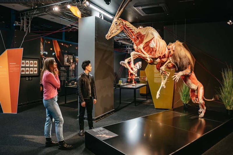 Berlin: Tickets for the BODY WORLDS Museum in Berlin - Key takeaways