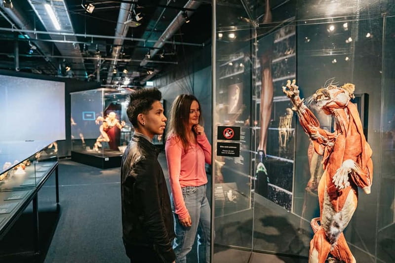 Berlin: Tickets for the BODY WORLDS Museum in Berlin - Should you book this BODY WORLDS Museum Berlin ticket?
