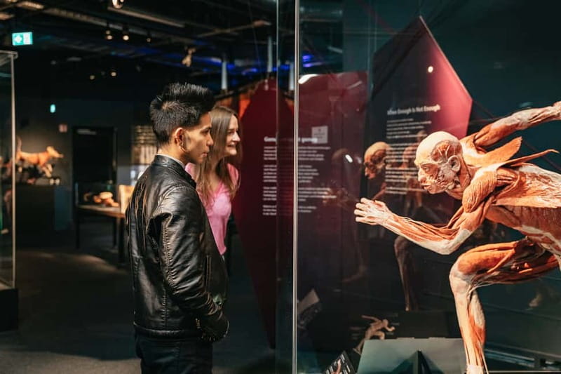Berlin: Tickets for the BODY WORLDS Museum in Berlin - BODY WORLDS Berlin: anatomy, diseases, and the why behind it