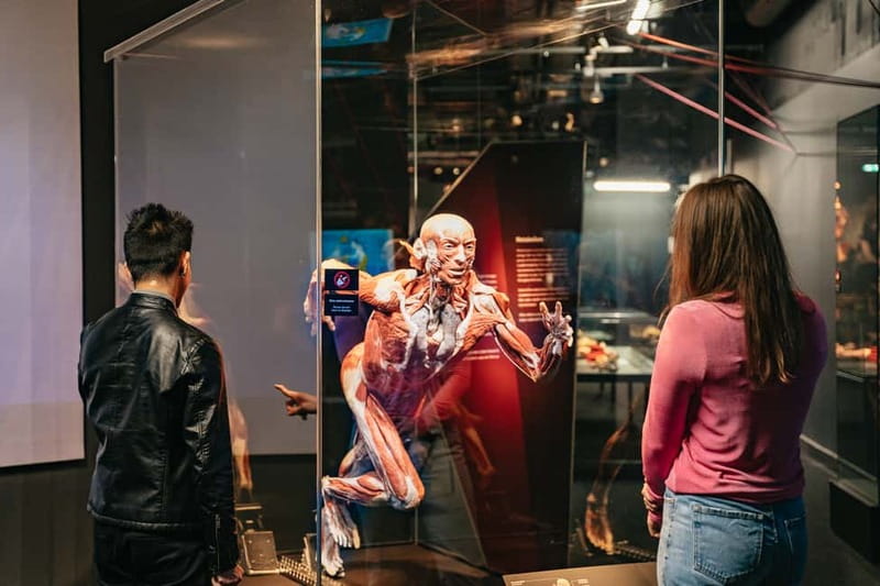Berlin: Tickets for the BODY WORLDS Museum in Berlin - Entering the visit: where to go and how the day flows