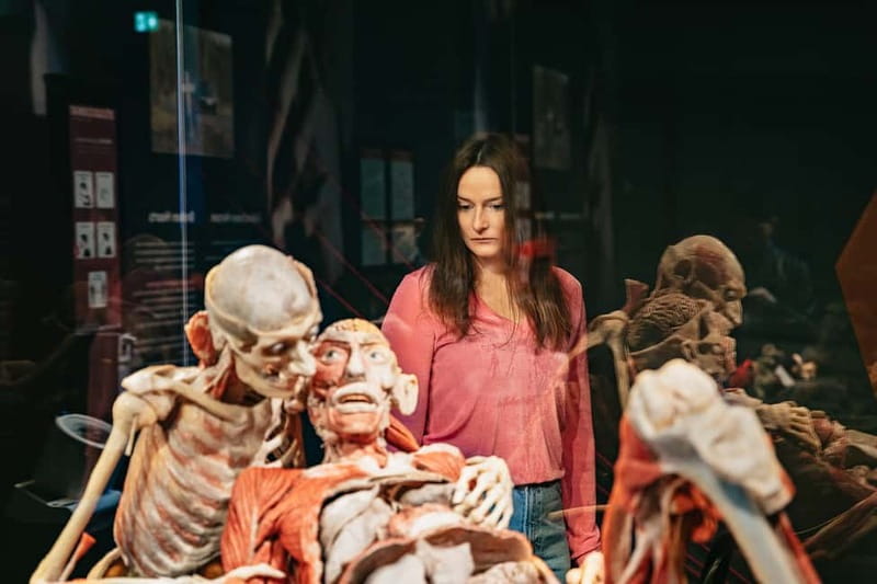 Berlin: Tickets for the BODY WORLDS Museum in Berlin - Price and value: is $22 a fair deal?