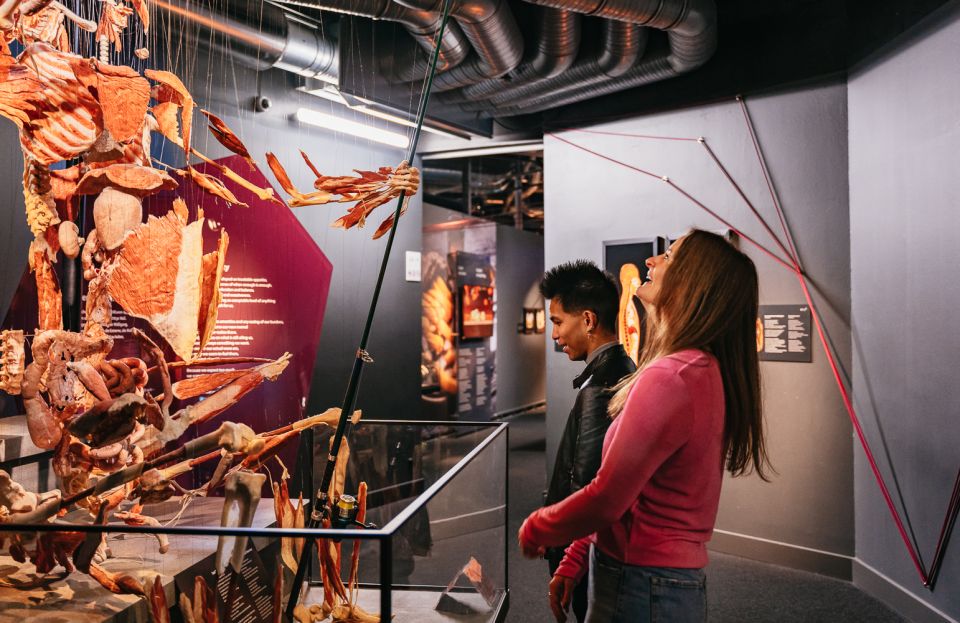 Berlin: Tickets for the BODY WORLDS Museum in Berlin - Practical tips that make BODY WORLDS easier