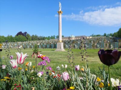 From Berlin: Potsdam Half-Day Guided Tour - The 4-hour flow from Berlin to Sanssouci (and back)