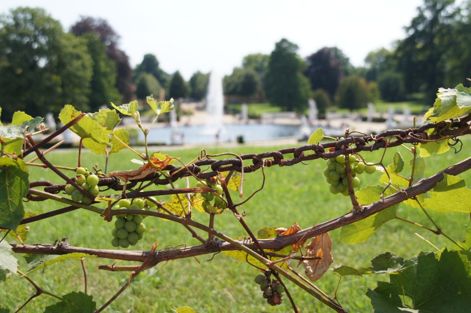 From Berlin: Potsdam Half-Day Tour in Spanish - Your Spanish-Language Guide Makes the Whole Route Easier